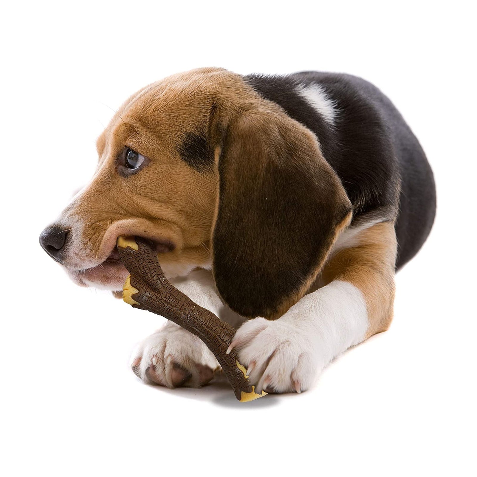 Nylabone Strong Chew Real Wood Stick Toy - Rufftail