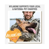 Nylabone Strong Chew Real Wood Stick Toy - Rufftail
