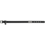 TRIXIE CityStyle PVC Dog Collar - Black (S-M) - Rufftail