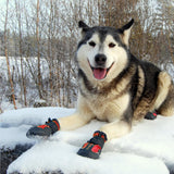 Truelove All Weather Dog Shoes - Red (Set Of 4) - Rufftail