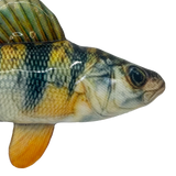 KONG Shieldz Wildz Fish- Floats on Water product image 5 - Rufftail Pune