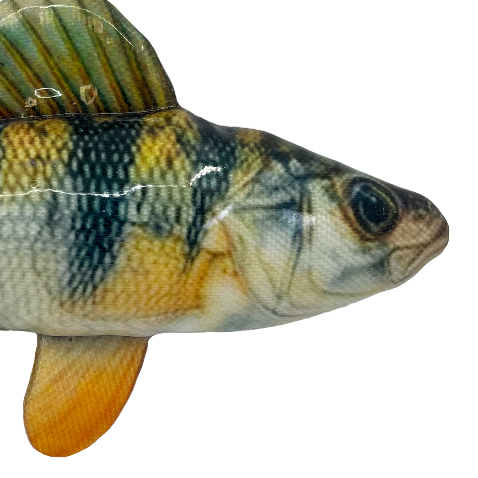 KONG Shieldz Wildz Fish- Floats on Water product image 5 - Rufftail Pune