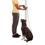 Ruffwear Hitch Hiker Leash For Dogs - Rufftail