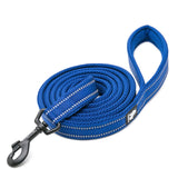Truelove Classic Leash for Dogs – Durable & Stylish Walking Essential- Blue - Rufftail Pune