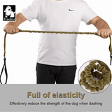 Truelove Durable Bungee Dog Leash - Baltic - Rufftail
