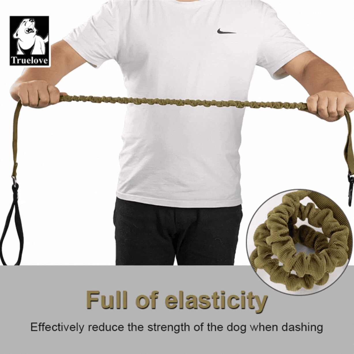 Truelove Durable Bungee Dog Leash - Baltic - Rufftail