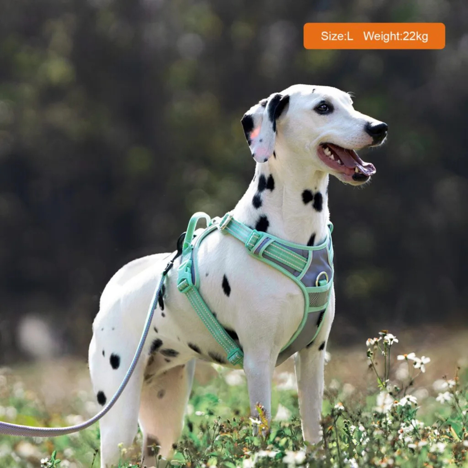 Truelove No-Pull Cordura Dog Harness - Pastel Lilac