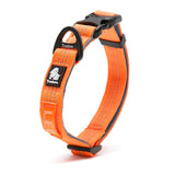 Truelove Padded Dog Collar: Comfort & Durability Redefined - Orange - Rufftail
