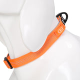 Truelove Padded Dog Collar: Comfort & Durability Redefined - GRAY - Rufftail