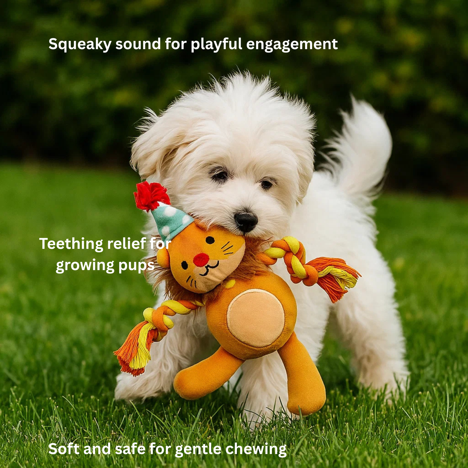 Barkbutler x FOFOS Fluffy Puppy Toy Lion - Rufftail
