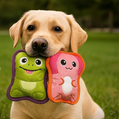 Outward Hound Tough Skinz Durable Squeaky Dog Toy - Frog Multicolor