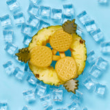Imaginelles Pup Ice Fruity Lollies Pineapple Dog Treat- 90g product image 8 - Rufftail Pune