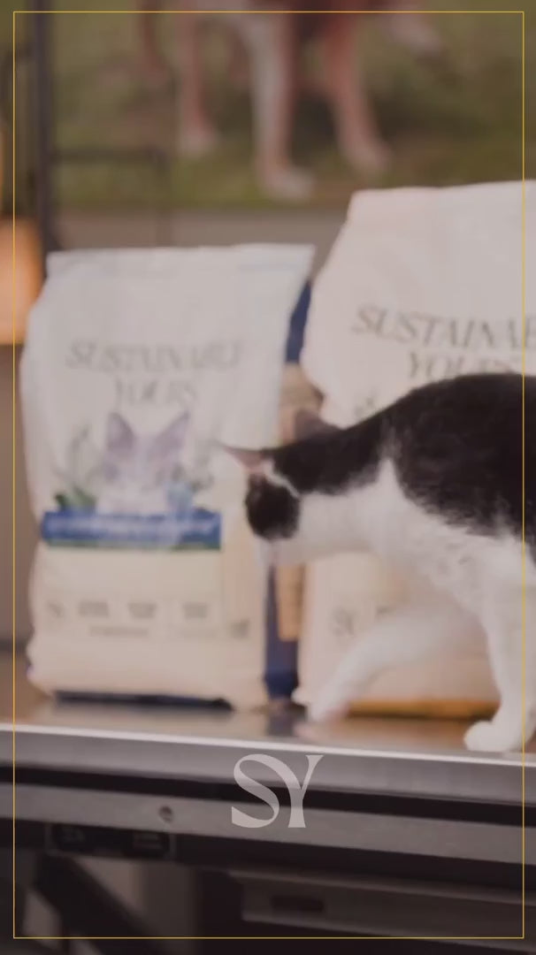 Sustainably Yours Small Grain Cat Litter